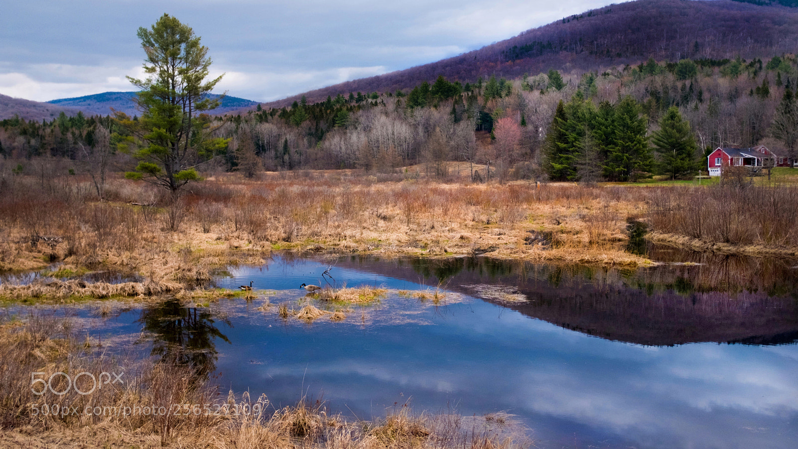 Fujifilm X100F sample photo. Spring in vermont photography