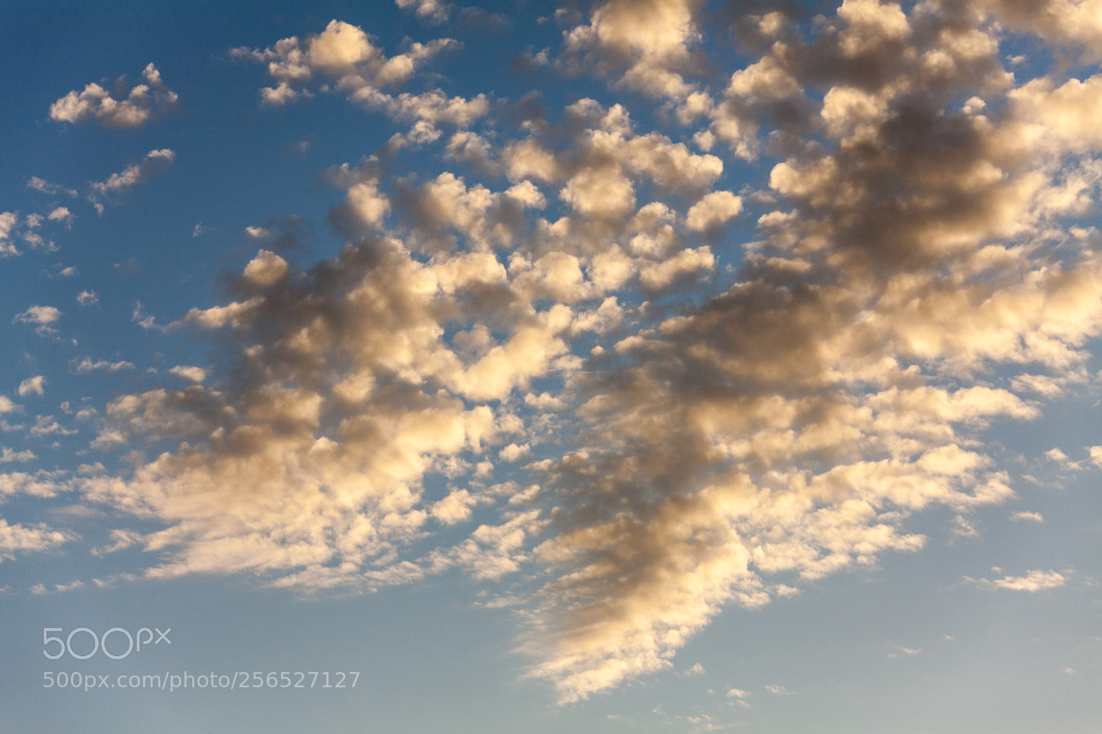 Canon EOS 5D Mark II sample photo. Untitled photography