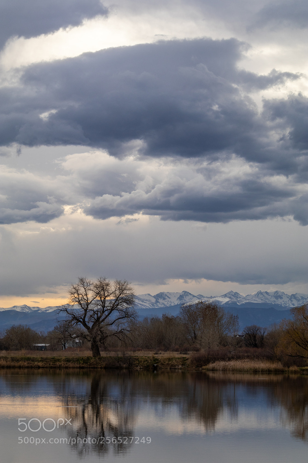 Canon EOS 80D sample photo. Personal cloud photography