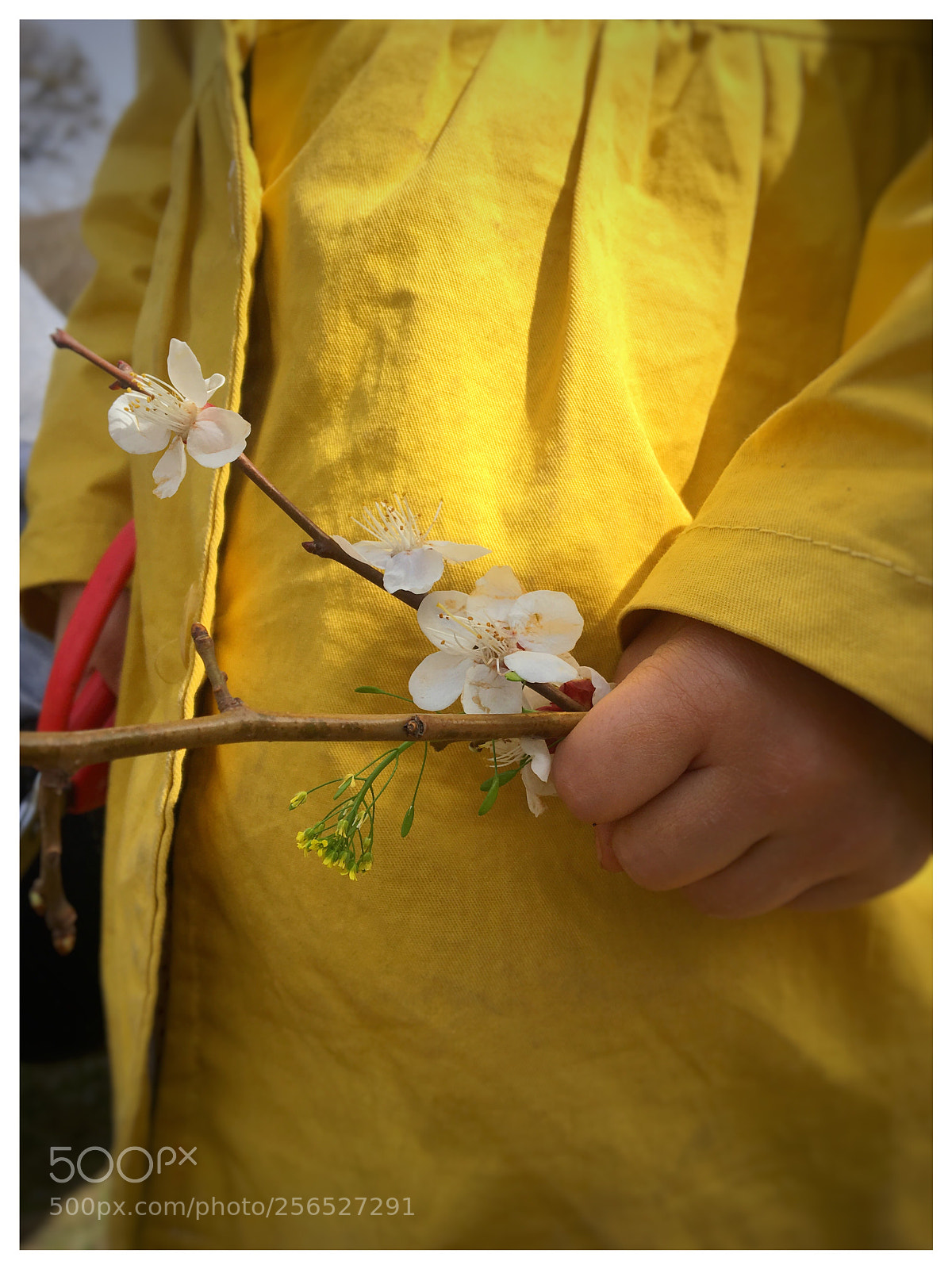 Apple iPhone 6s sample photo. Untitled photography