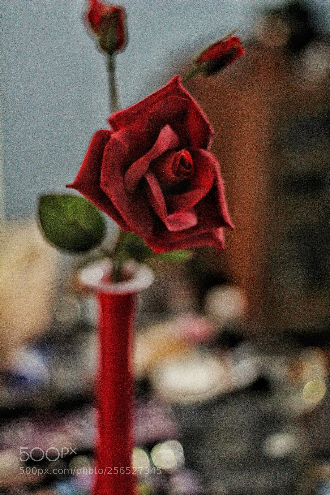 Canon EOS 1300D (EOS Rebel T6 / EOS Kiss X80) sample photo. Boa noite! photography