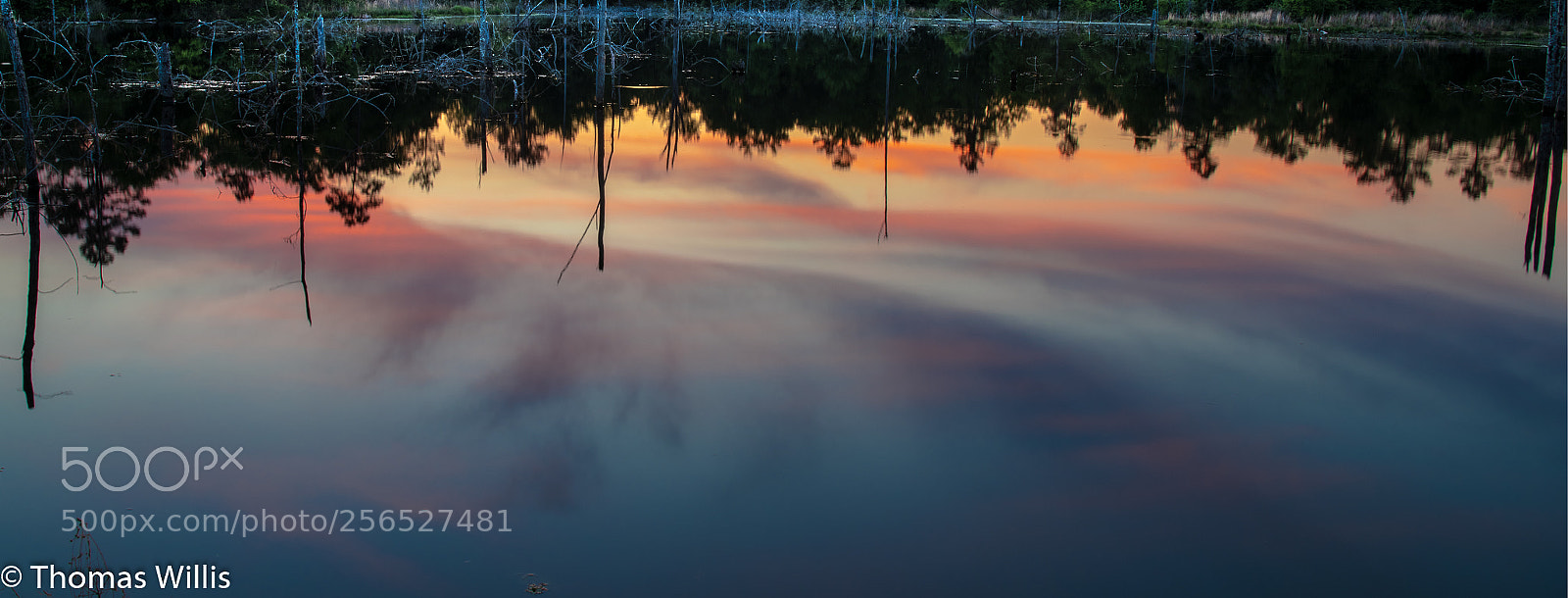 Nikon D850 sample photo. Pond reflection photography