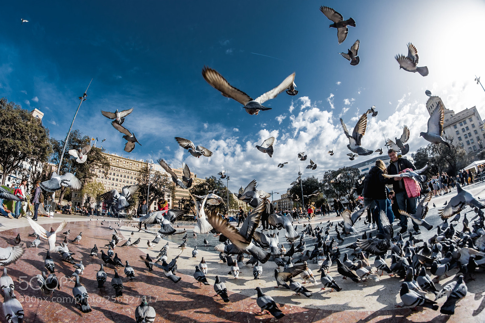 Nikon D7200 sample photo. Plaza de catalunya photography