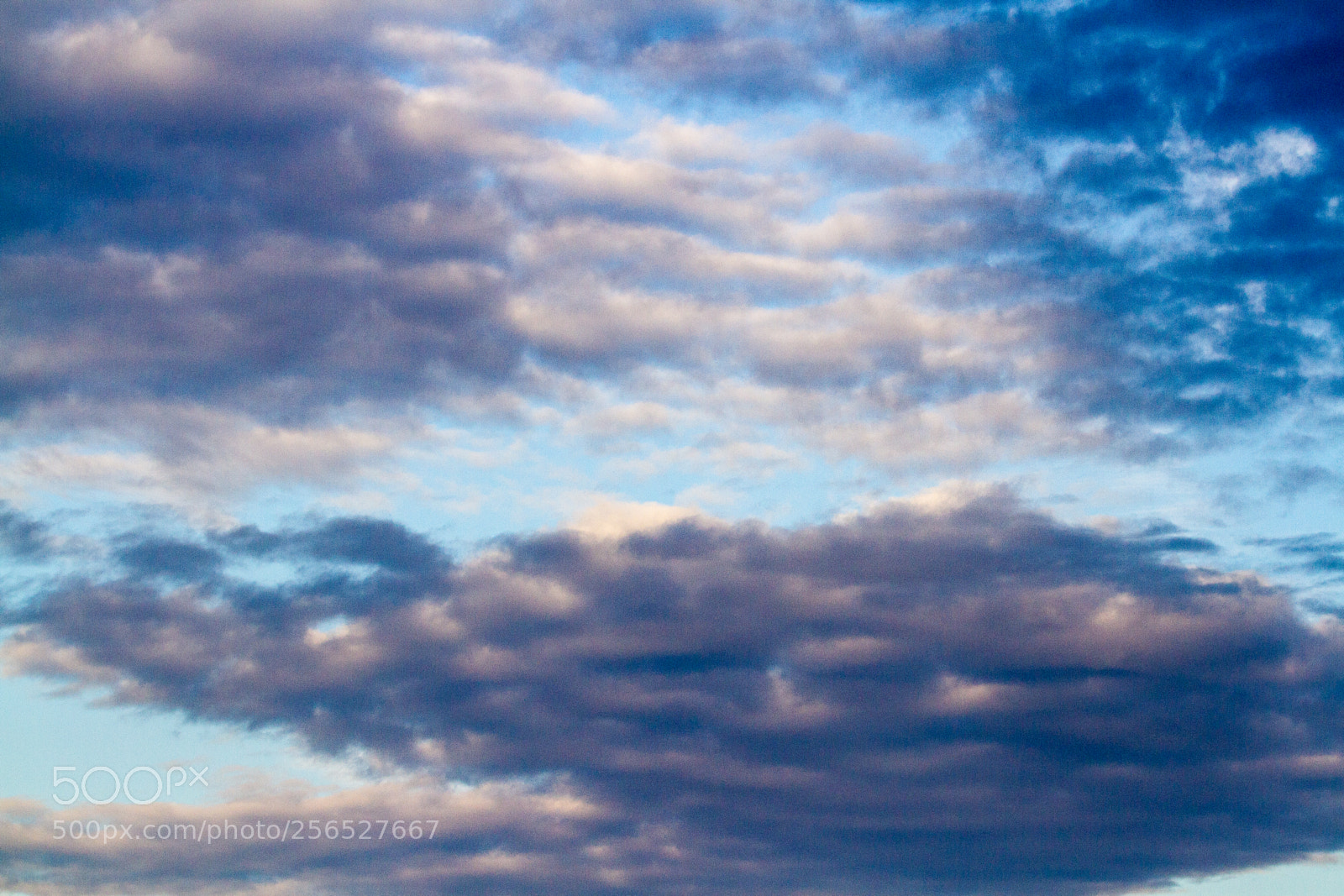 Canon EOS 7D sample photo. Untitled photography