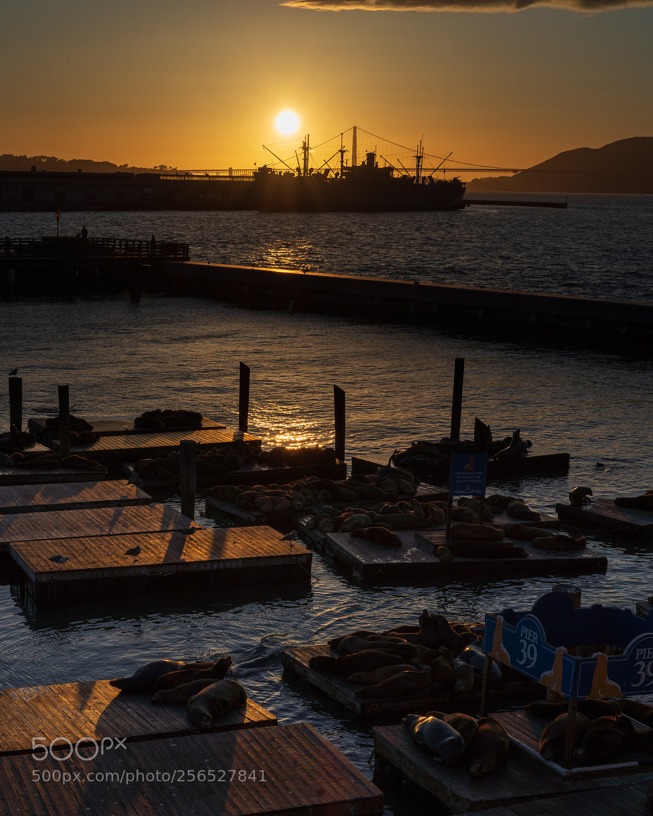 Sony a7R III sample photo. Golden gate sunset with photography
