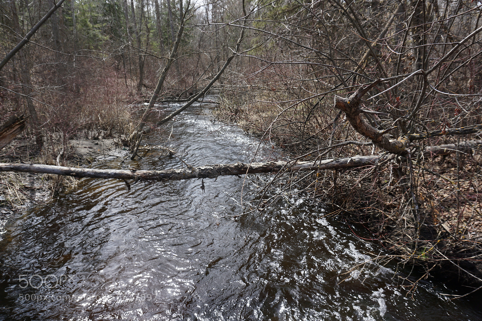 Sony a6000 sample photo. Spring thaw photography