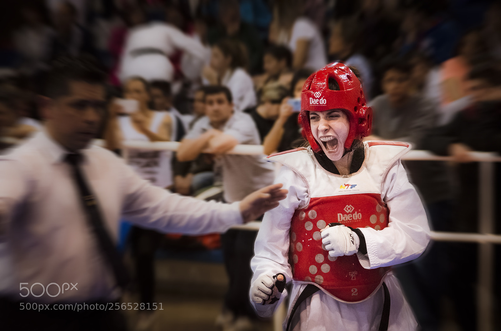 Nikon D7200 sample photo. Taekwondo wt nacional 2016 photography