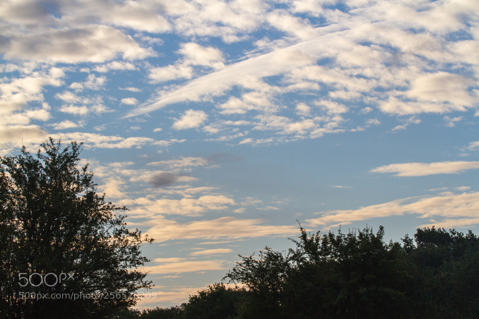 Canon EOS 7D sample photo. Untitled photography