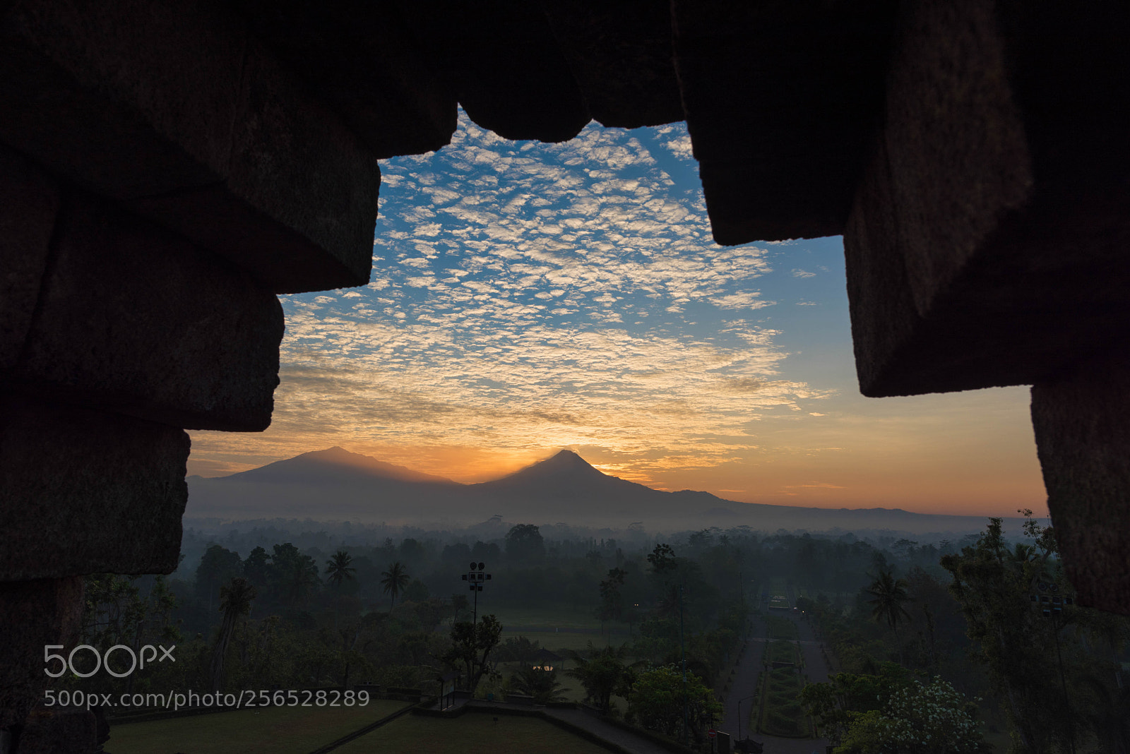 Nikon D810 sample photo. Morning photography