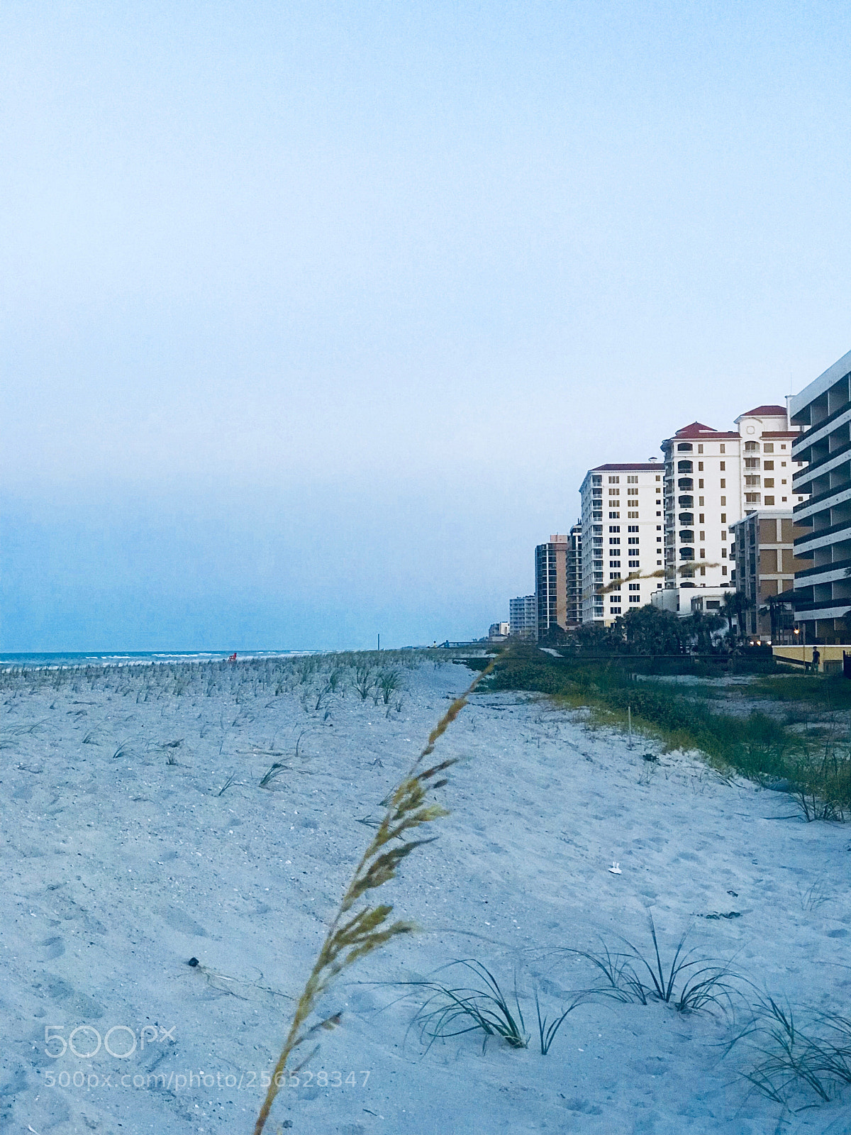 Apple iPhone 7 Plus sample photo. Evening beach time
 photography