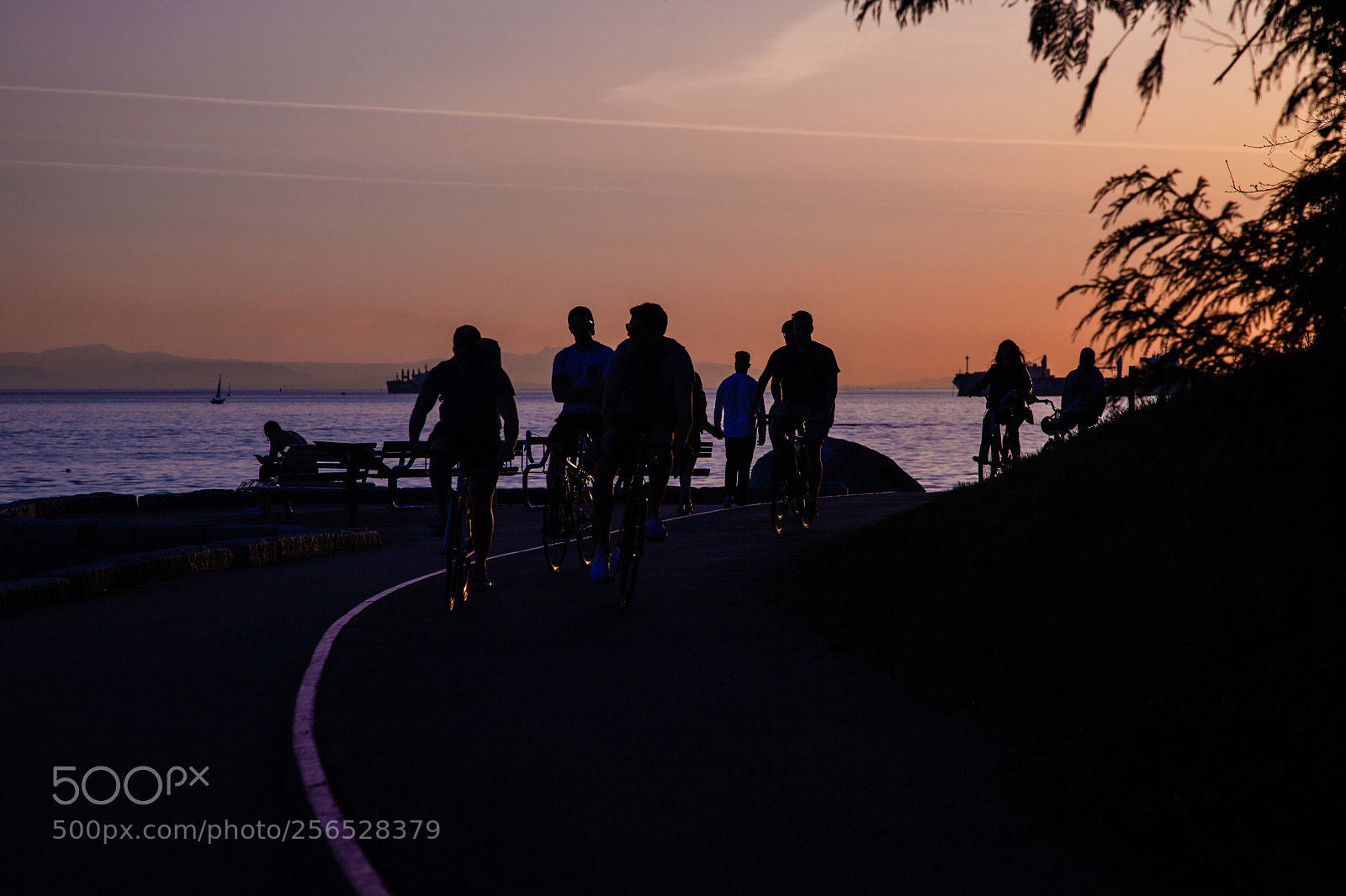 Canon EOS 5D Mark II sample photo. Cycling photography