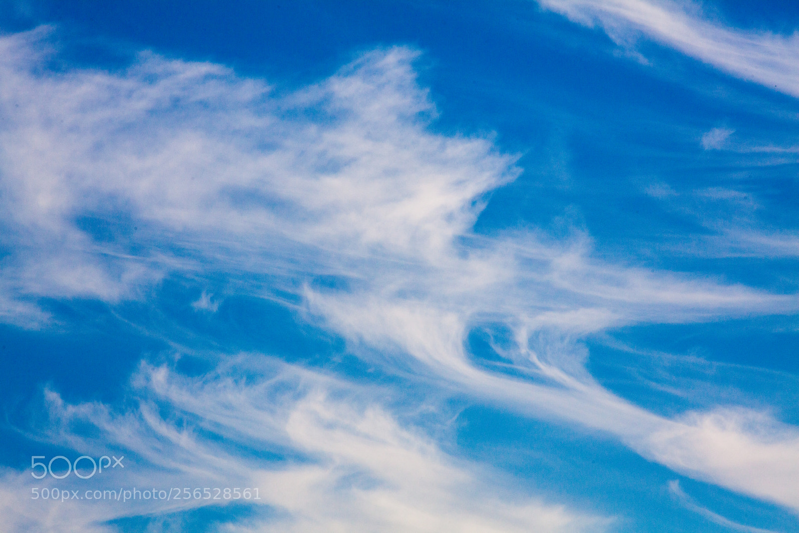 Canon EOS 5D Mark II sample photo. Untitled photography