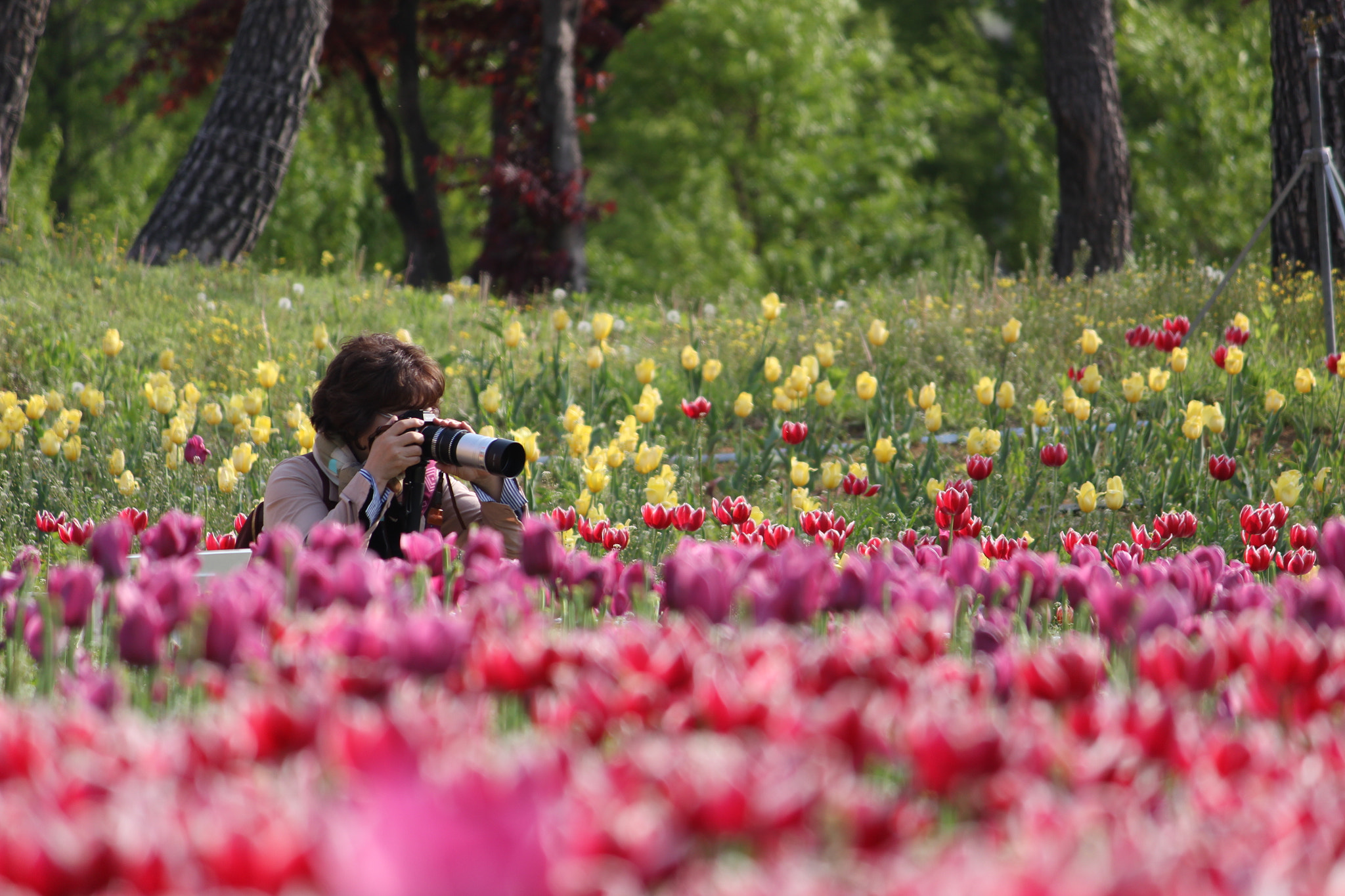 Canon EF-S 55-250mm F4-5.6 IS sample photo. Concentration photography