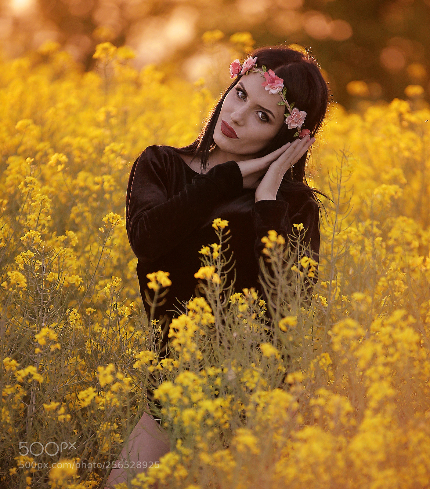 Canon EOS 6D sample photo. Golden canola photography