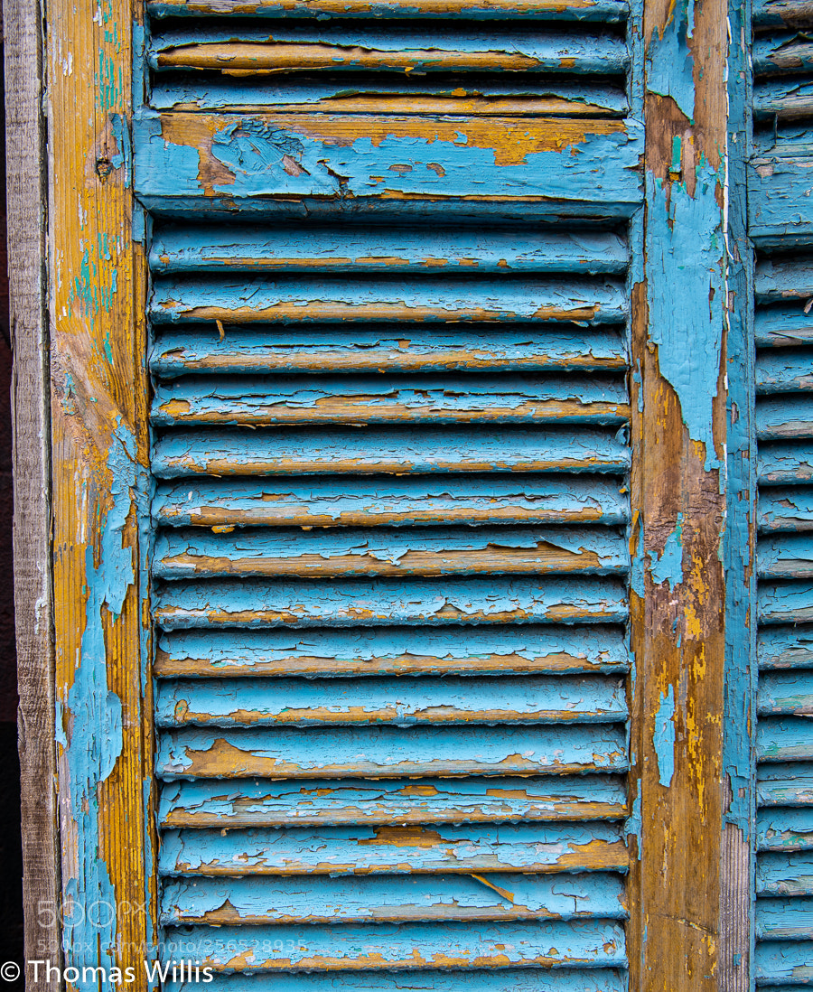 Nikon D850 sample photo. Paint and texture photography