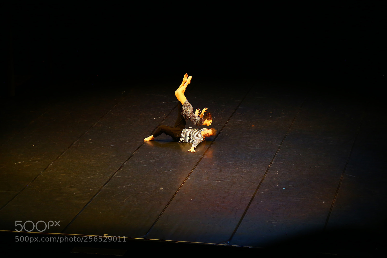 Canon EOS 6D + Canon EF 24-105mm F4L IS USM sample photo. Untitled photography