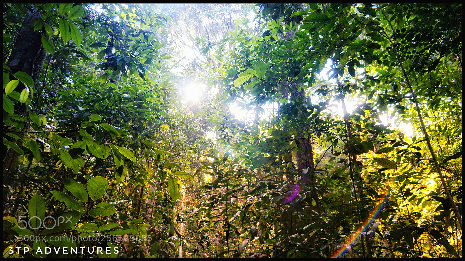 Sony Alpha NEX-5N sample photo. Untitled photography