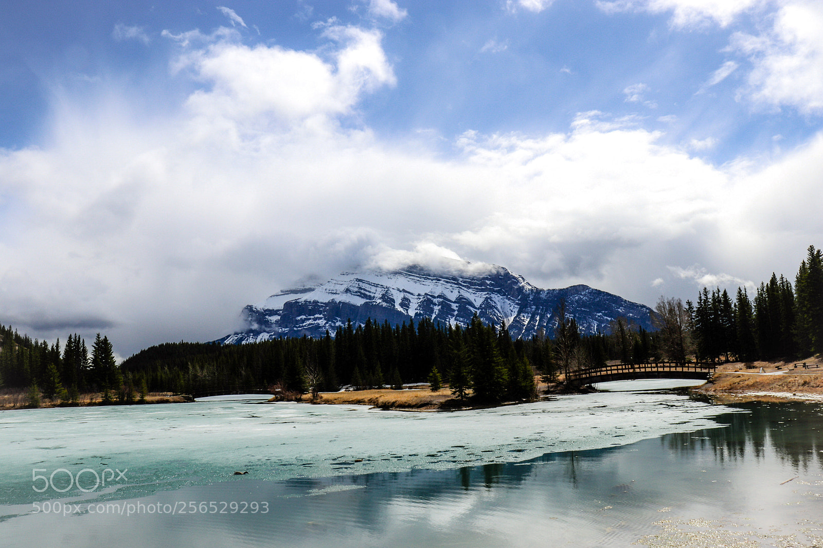 Canon EOS 800D (EOS Rebel T7i / EOS Kiss X9i) sample photo. Banff photography