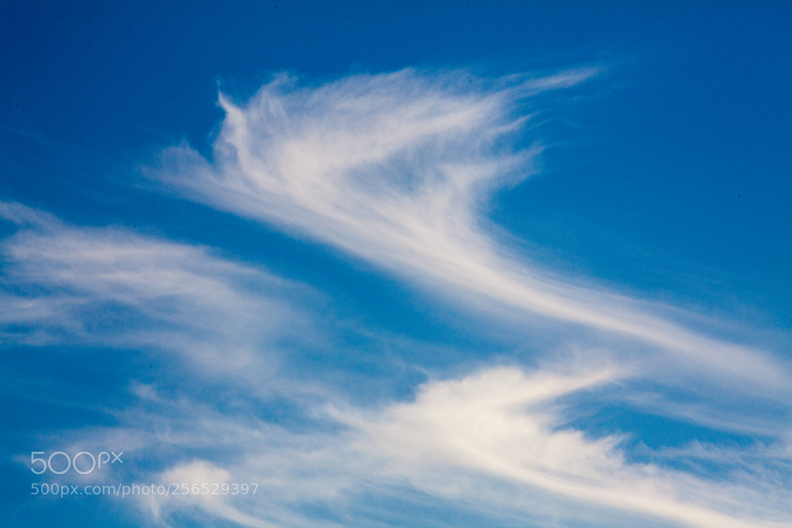 Canon EOS 5D Mark II sample photo. Untitled photography