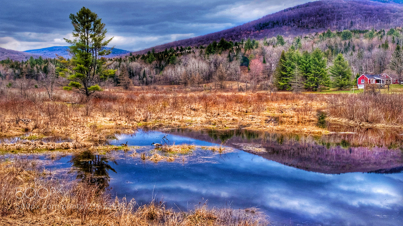 Fujifilm X100F sample photo. Spring in vt photography