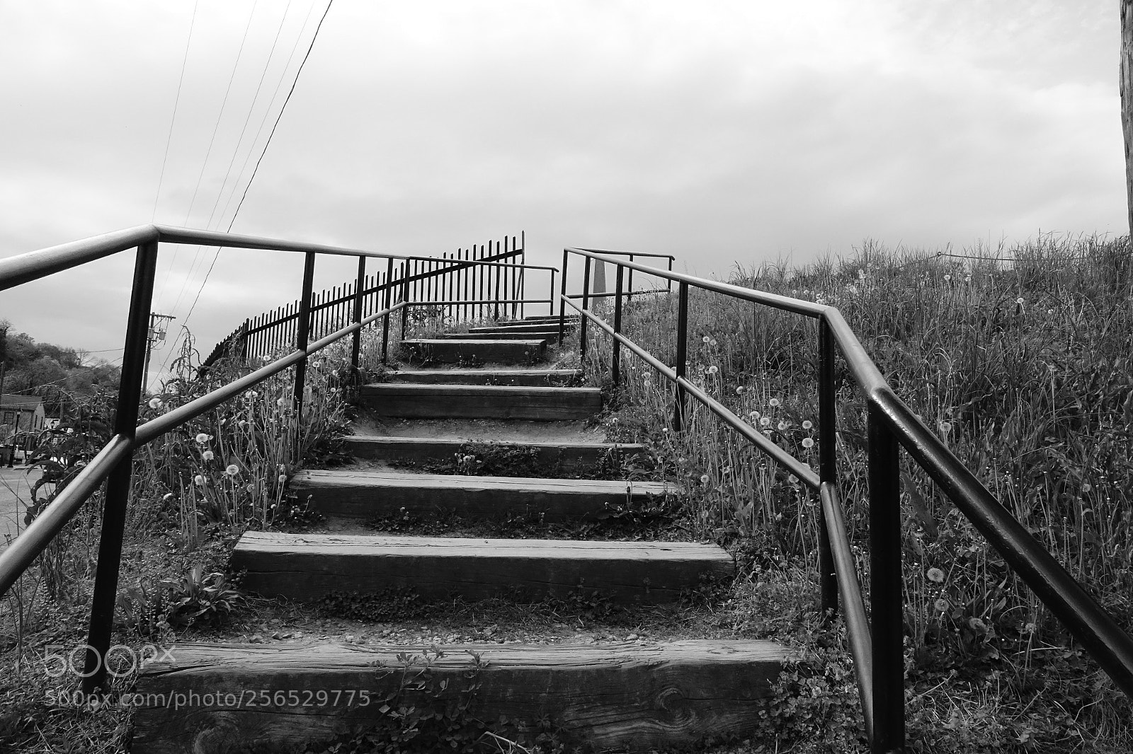 Sony Cyber-shot DSC-RX10 III sample photo. Stairway  photography