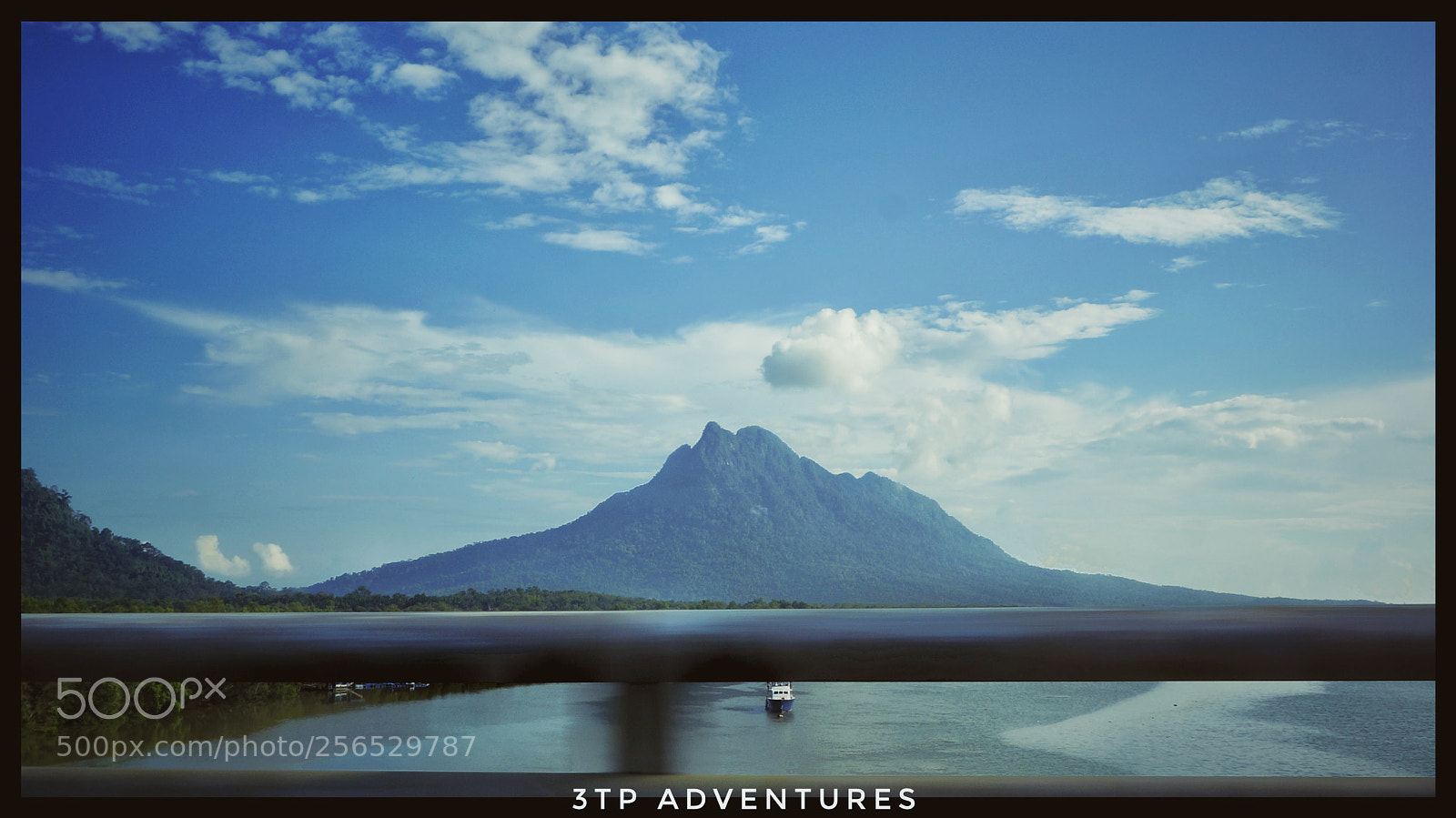 Sony Alpha NEX-5N sample photo. Untitled photography