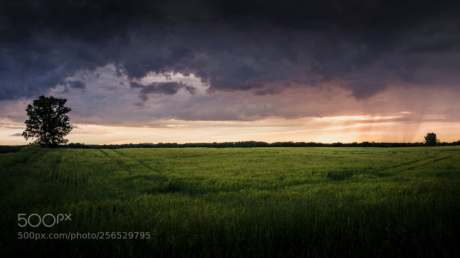 Sony a6000 sample photo. Sunset showers photography