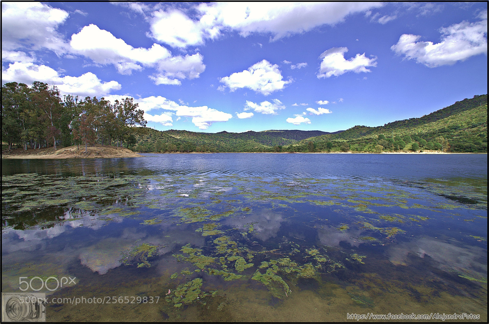 Pentax K-50 sample photo. Reflejo azul photography