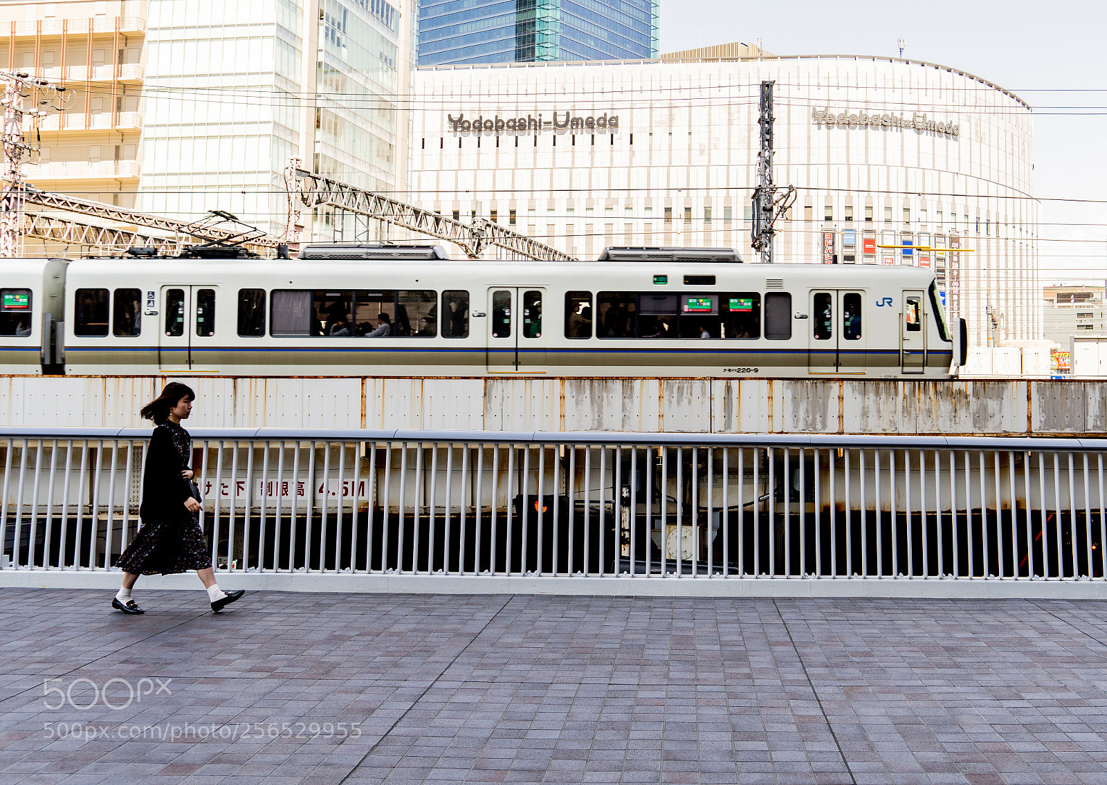 Sony a7 II sample photo. 02-9936.jpg photography