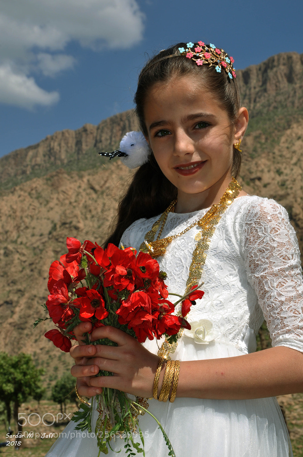 Nikon D90 sample photo. 2.jpg photography