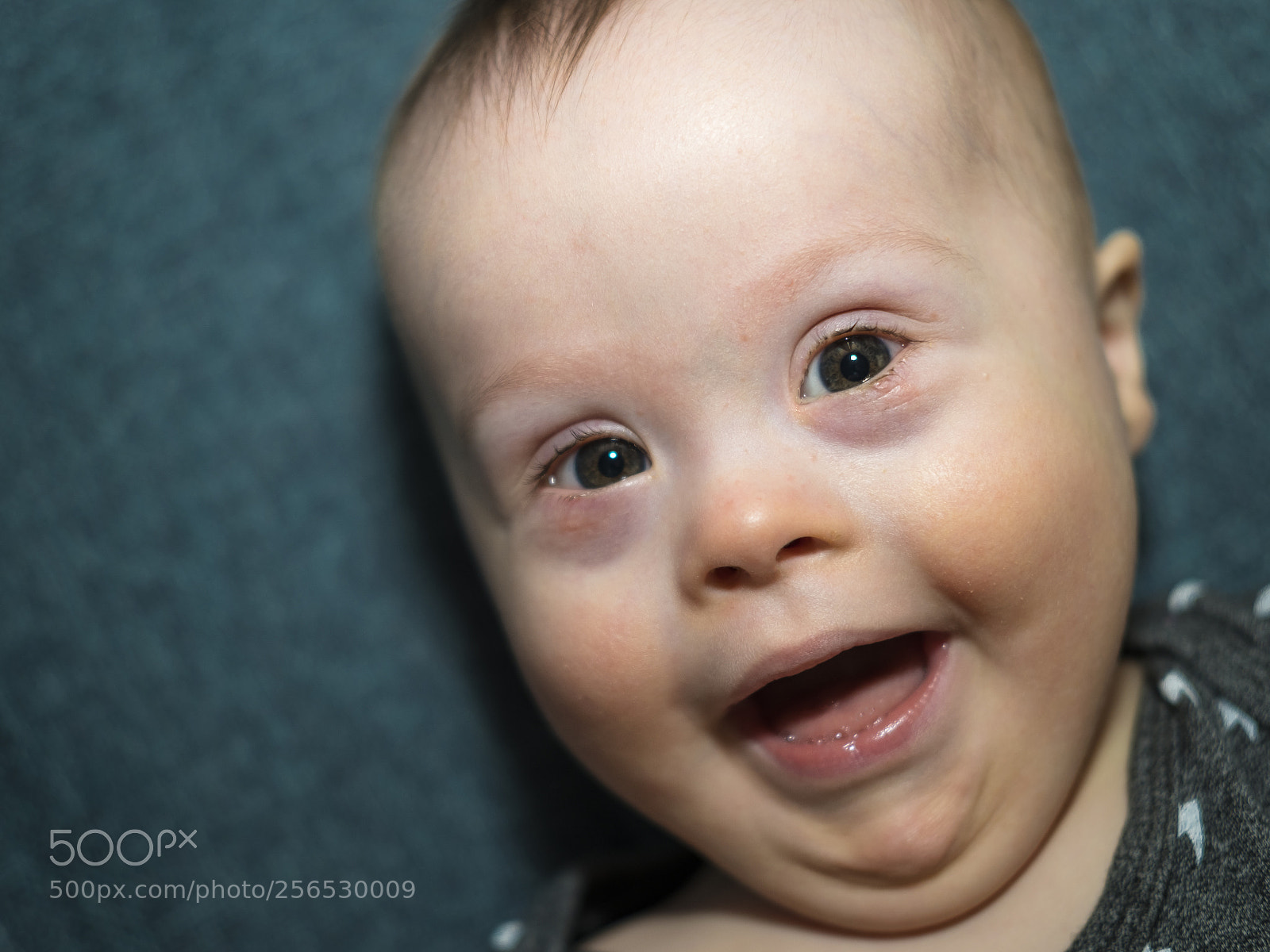 Fujifilm X-T2 sample photo. Happy chappy photography