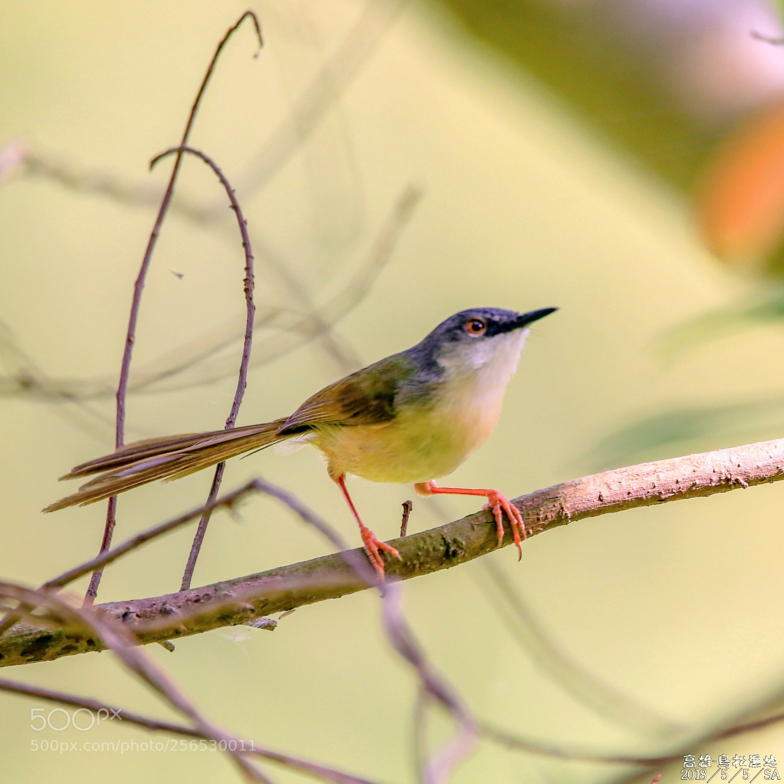 Canon EOS 6D sample photo. Untitled photography