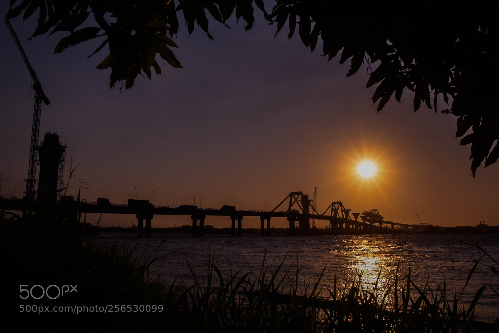 Nikon D7200 sample photo. Ric_5487-2.jpg photography