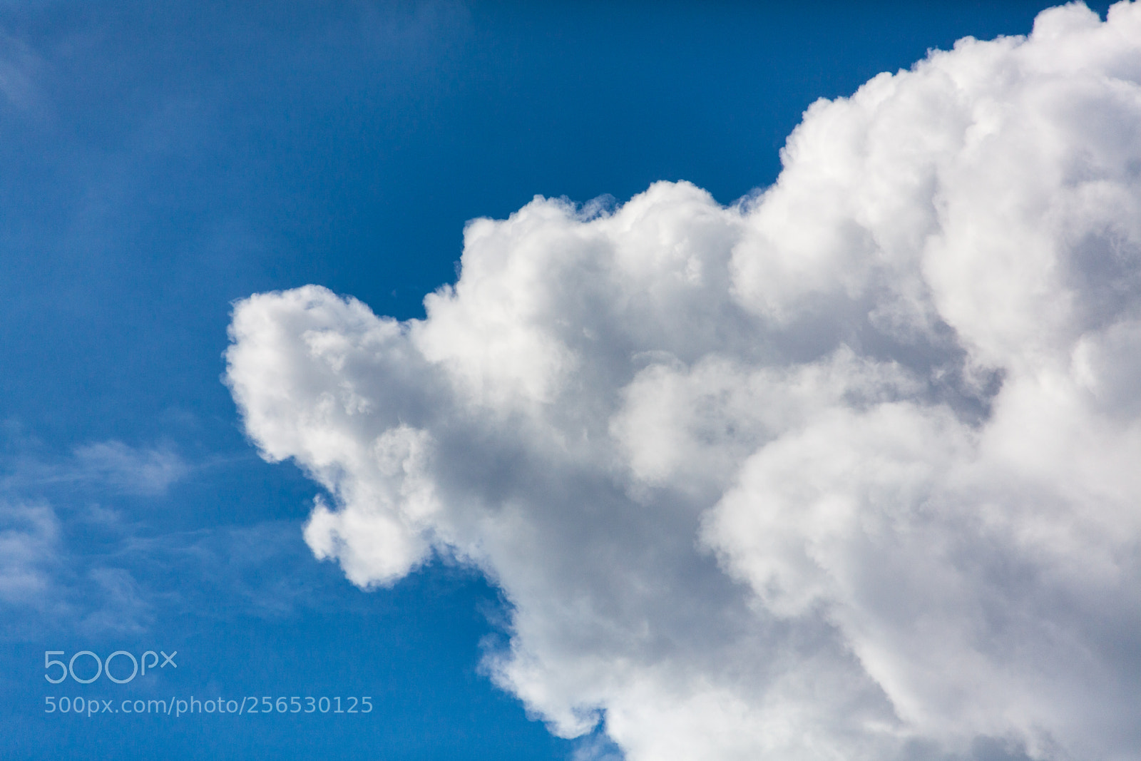 Canon EOS 5D Mark II sample photo. Untitled photography