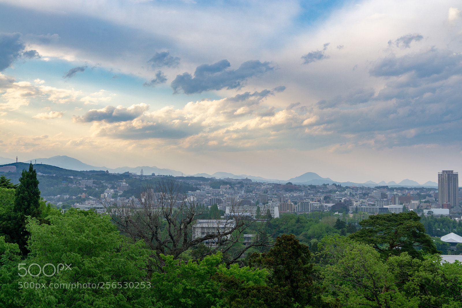 Sony a6000 sample photo. City of sendai photography