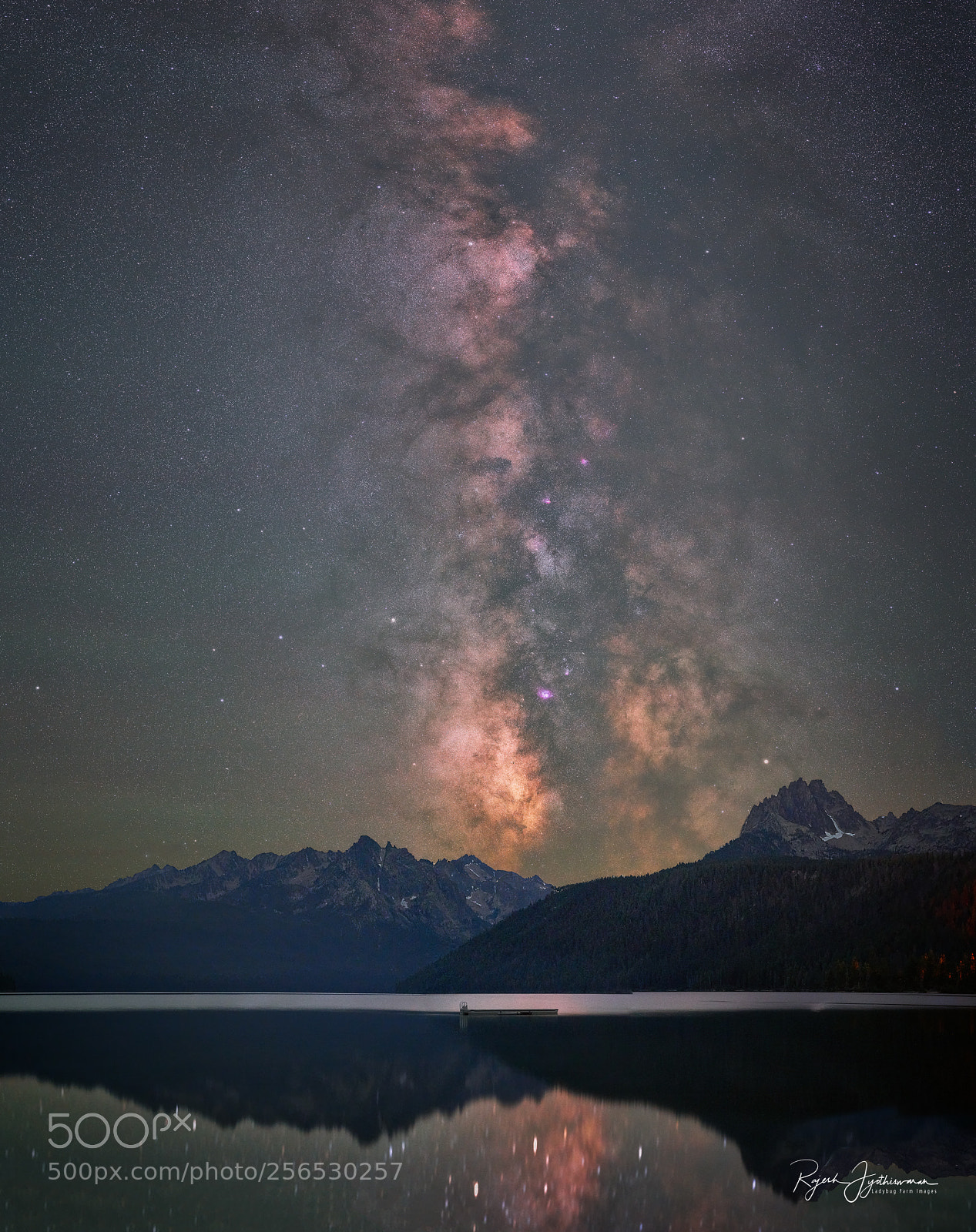Sony a7R II sample photo. May the fourth be photography
