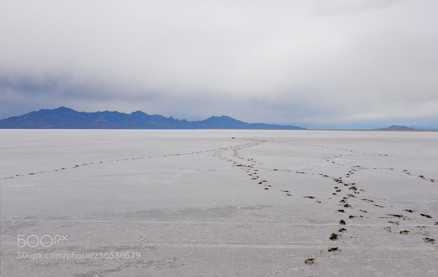Nikon D600 sample photo. Utah landscape photography