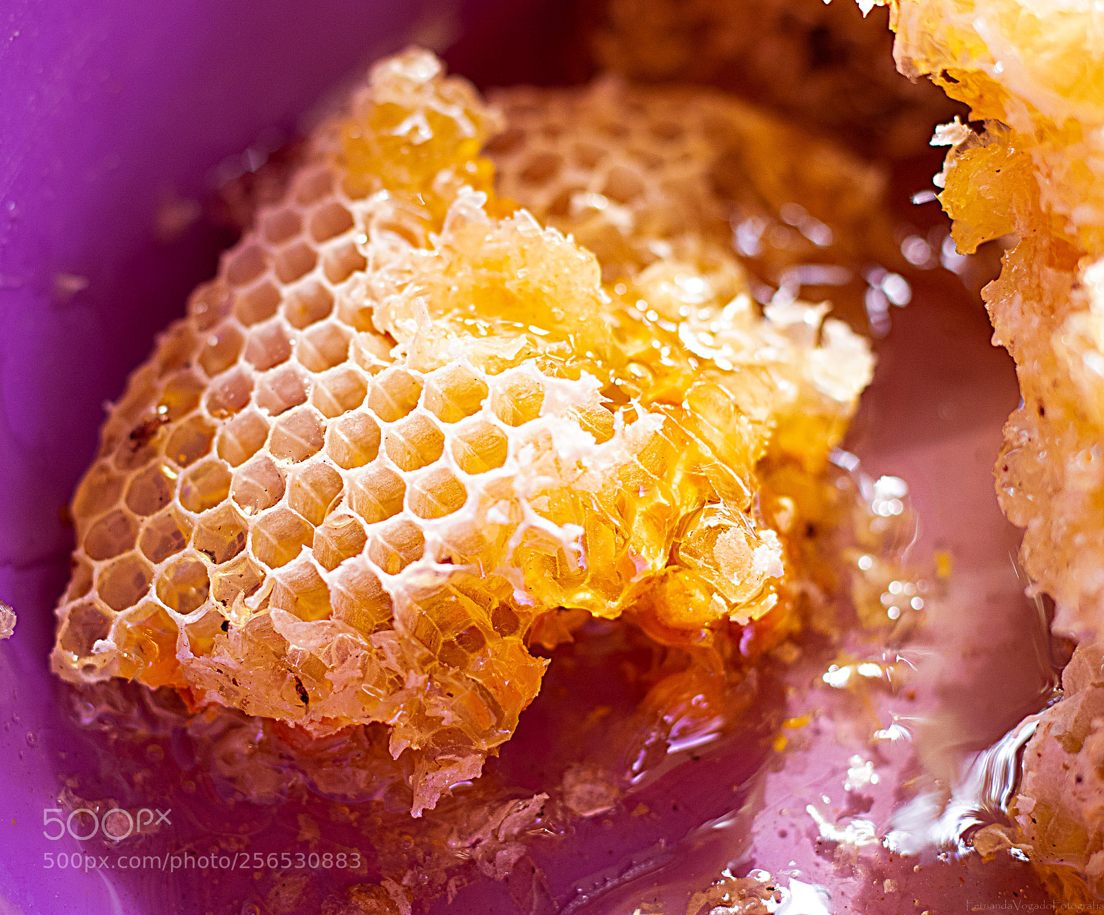 Canon EOS 80D sample photo. Honeycomb photography