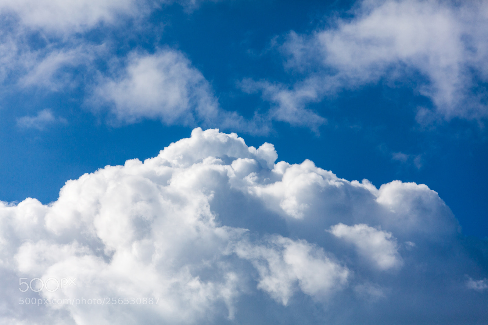 Canon EOS 5D Mark II sample photo. Untitled photography