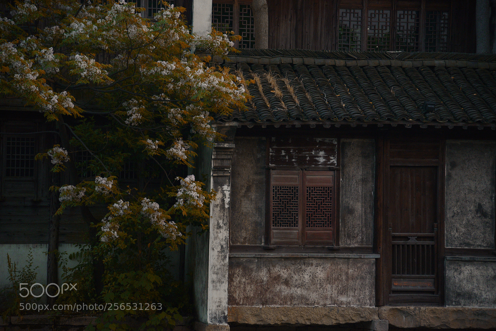 Nikon AF-S Nikkor 24-120mm F4G ED VR sample photo. Untitled photography