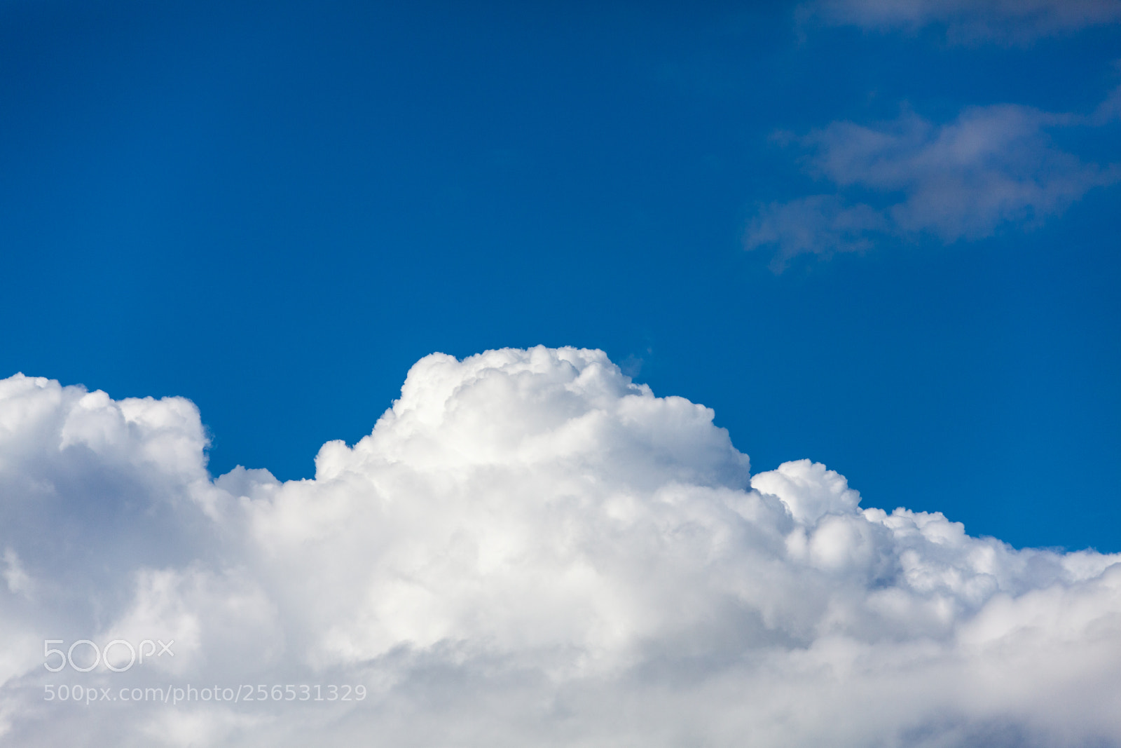 Canon EOS 5D Mark II sample photo. Untitled photography