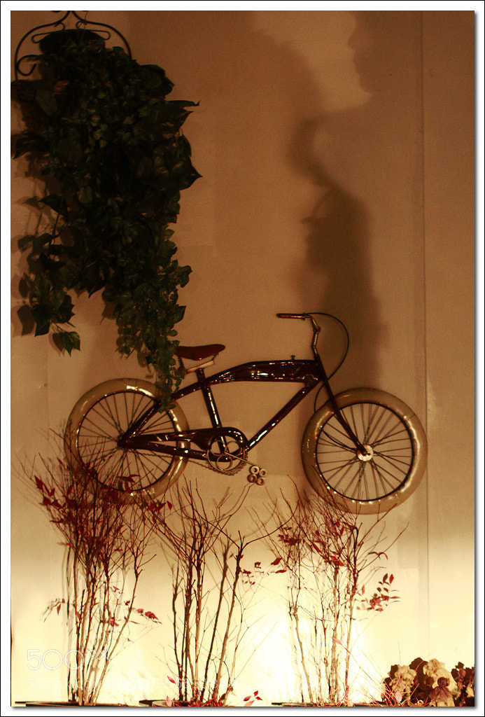 Canon EOS 60D sample photo. Untitled photography