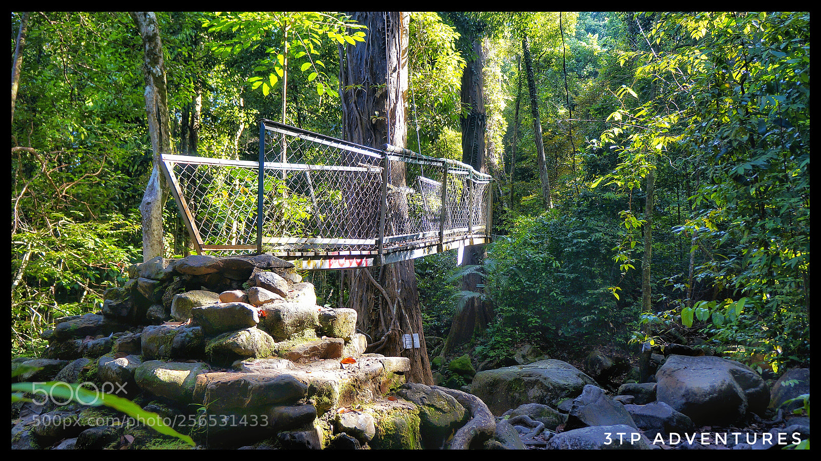 Sony Alpha NEX-5N sample photo. Untitled photography