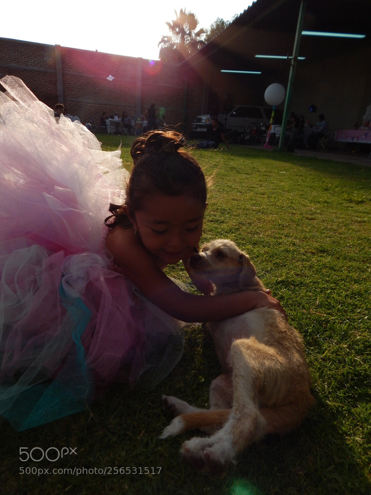 Nikon Coolpix L820 sample photo. Amor photography