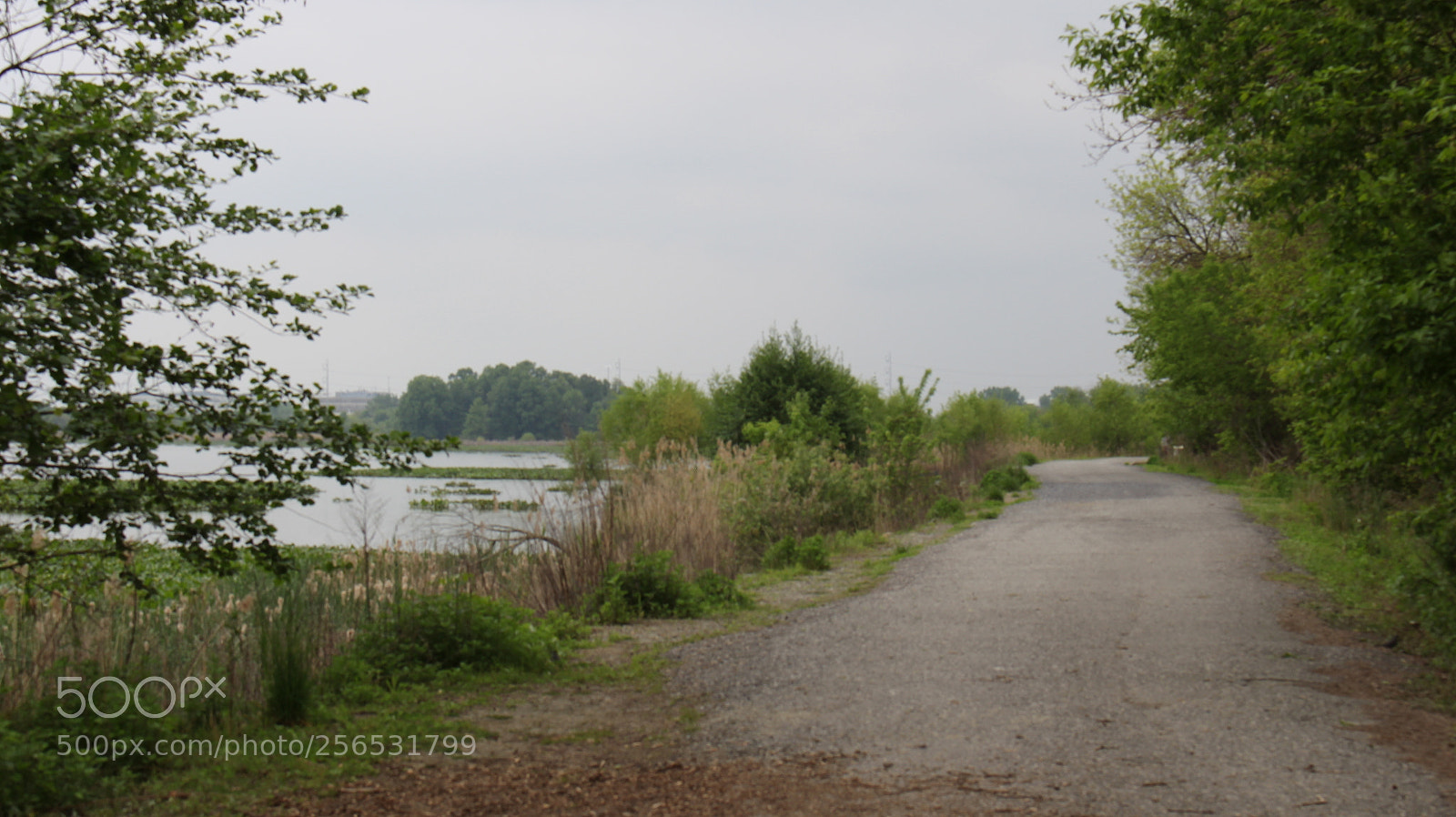 Canon EOS 700D (EOS Rebel T5i / EOS Kiss X7i) sample photo. John heinz wildlife refuge photography