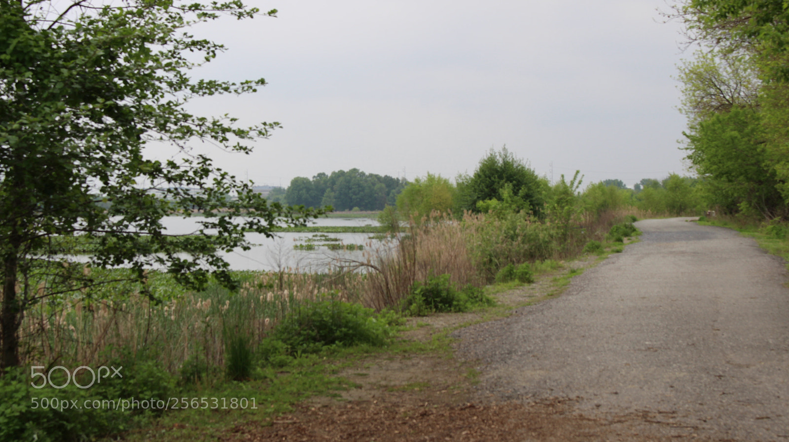 Canon EOS 700D (EOS Rebel T5i / EOS Kiss X7i) sample photo. John heinz wildlife refuge photography