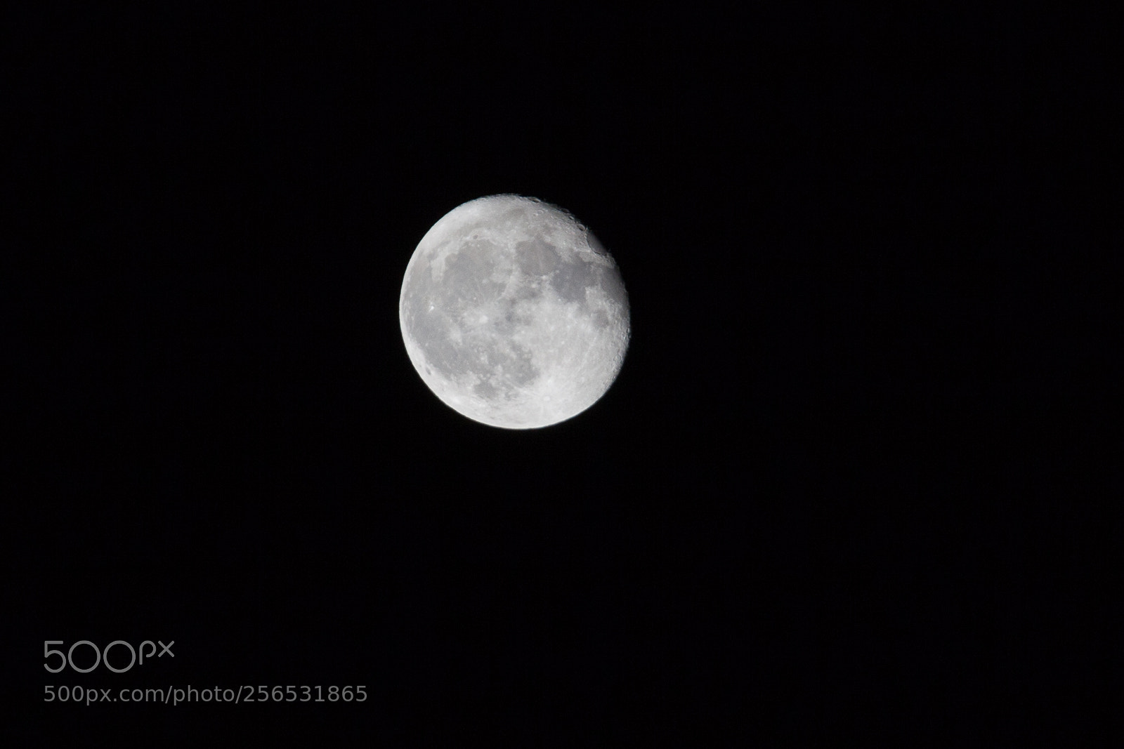 Canon EOS 5D Mark II sample photo. Untitled photography