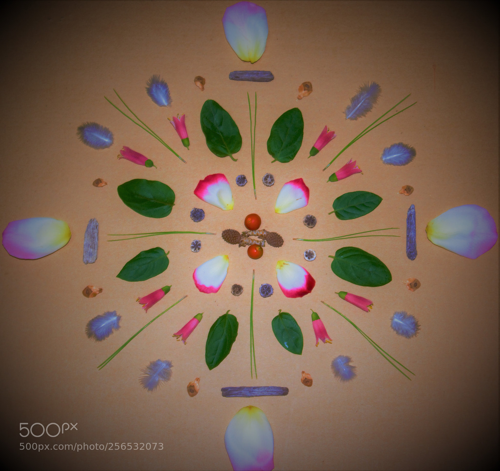 Nikon D5300 sample photo. Mandala photography