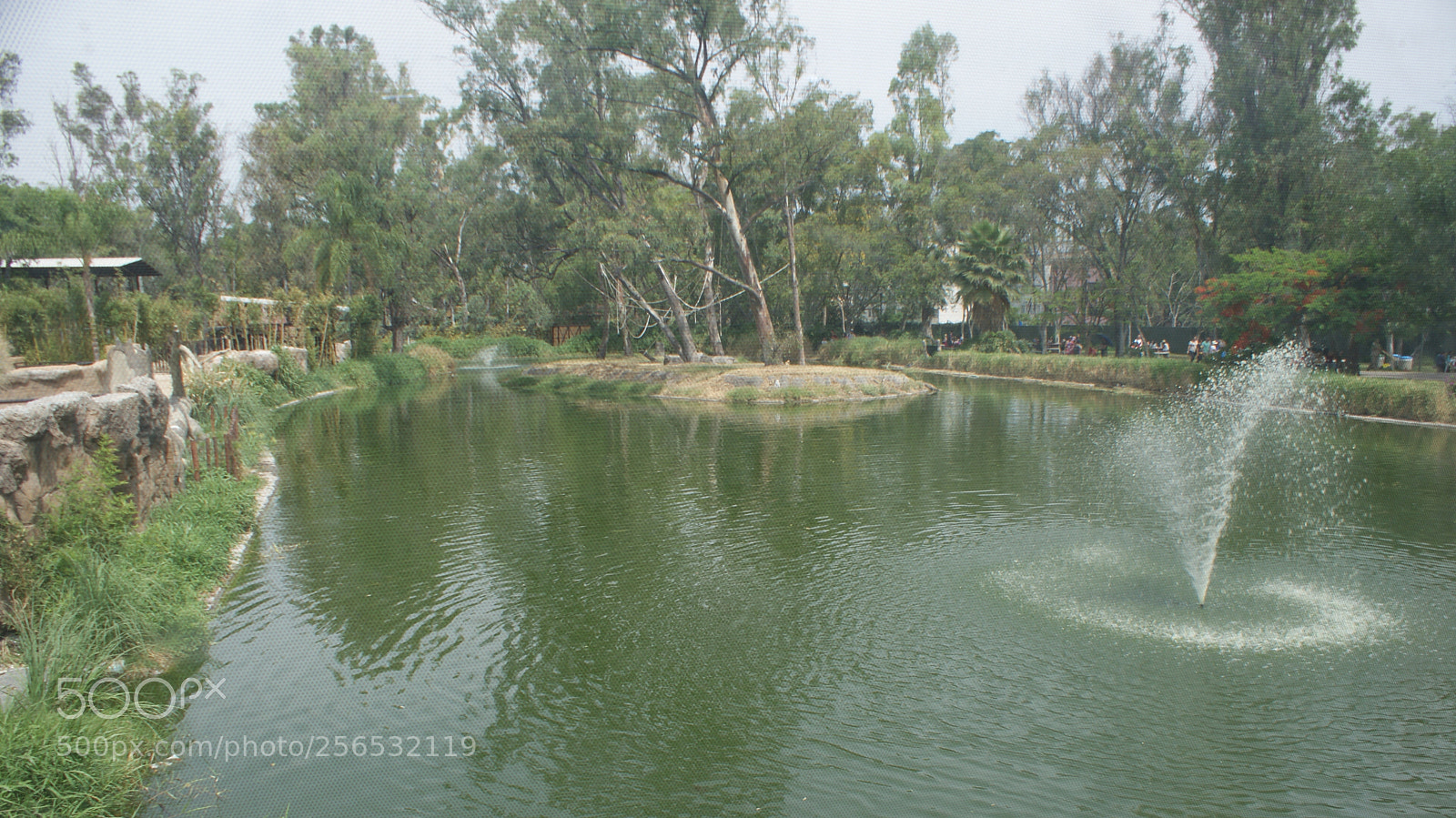 Sony DT 18-70mm F3.5-5.6 sample photo. Paisaje algo verde photography
