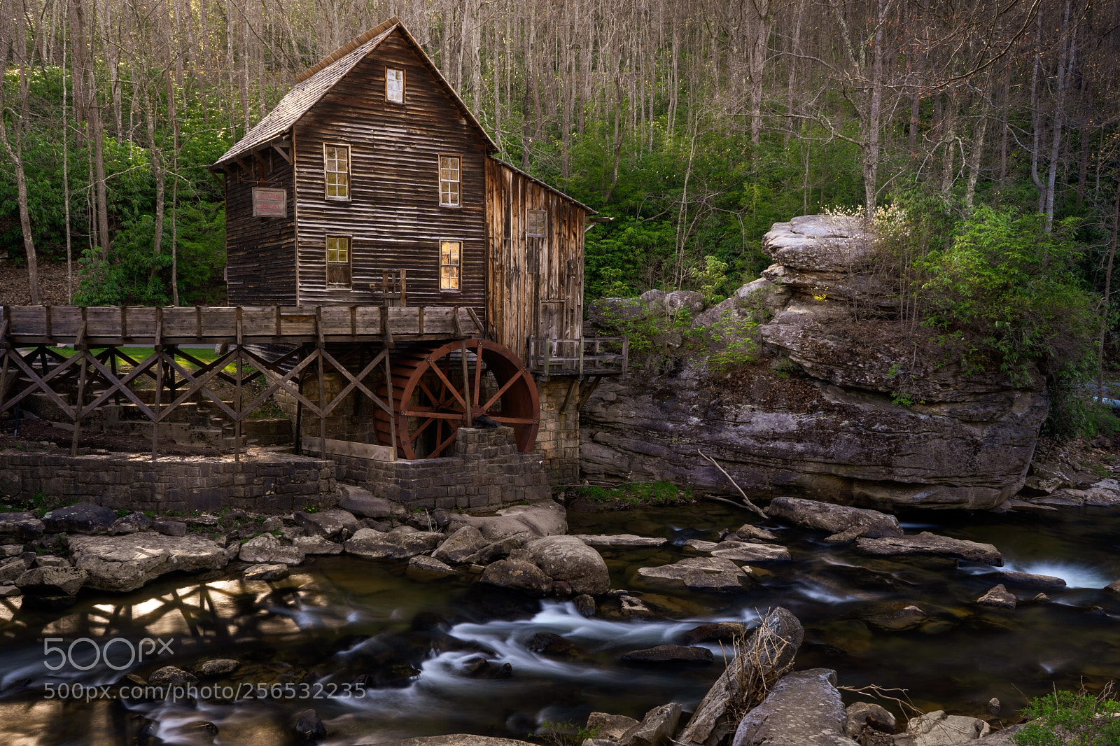 Sony a7 III sample photo. Babcock state park photography